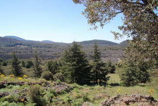 Monte Ruvolo